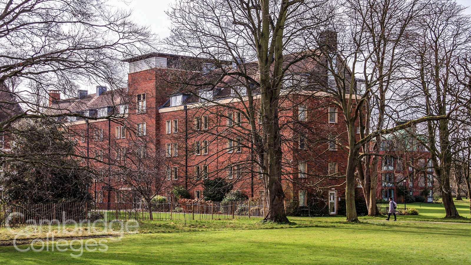 One of Homerton's buildings, partially obscured by trees