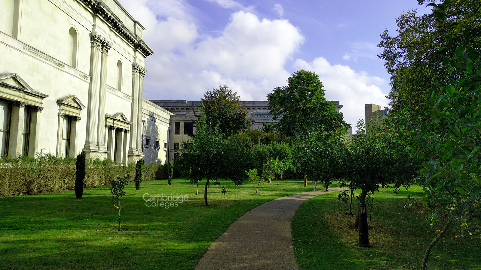 Peterhouse deer park with the Fitzwilliam museum