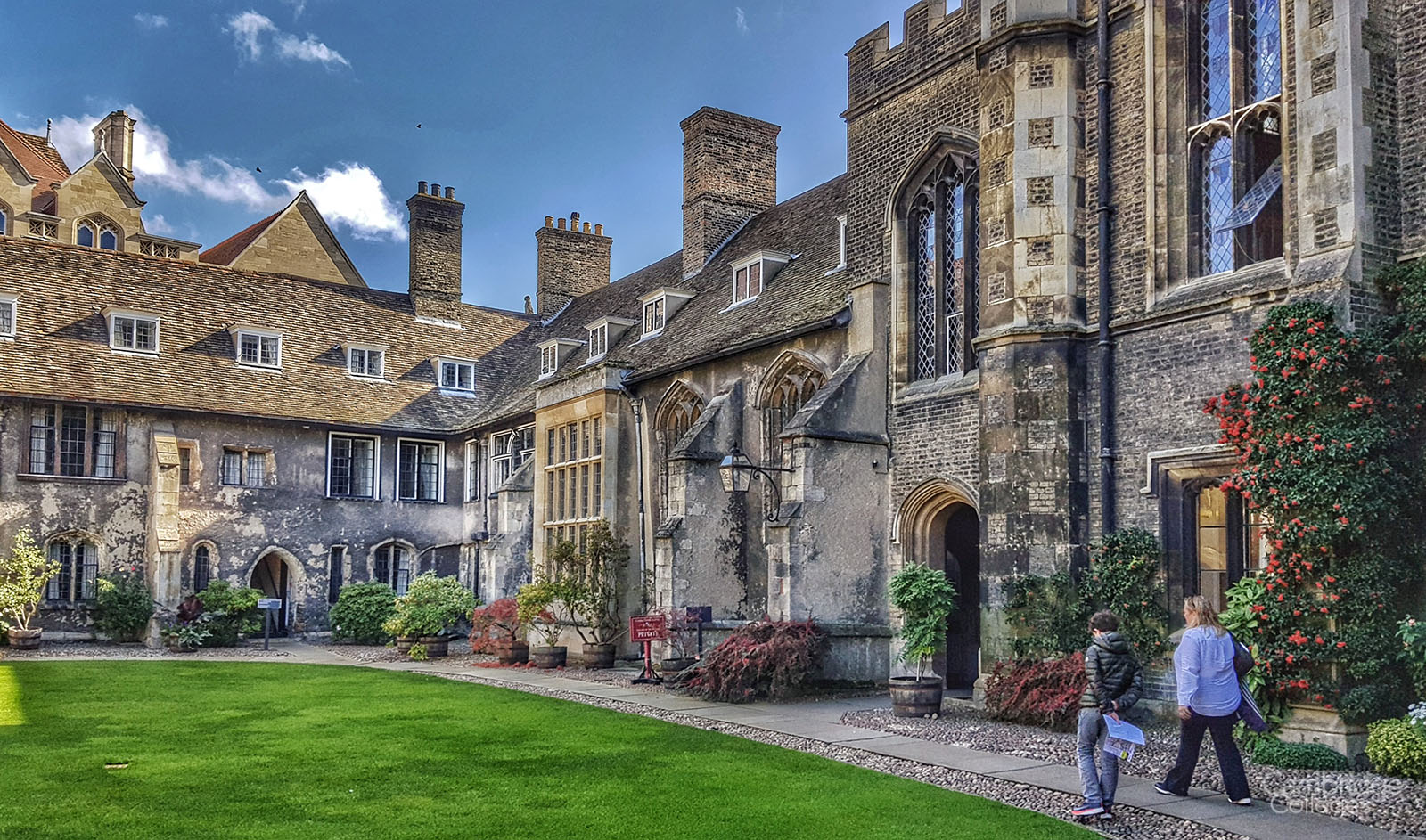 Christ's college old court