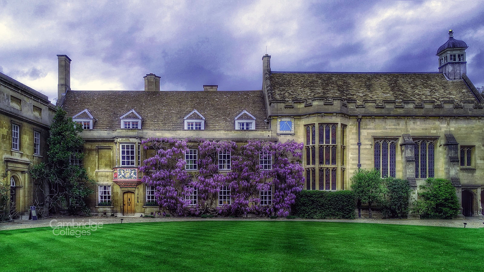 Christ's college Cambridge, with wisteria in full bloom