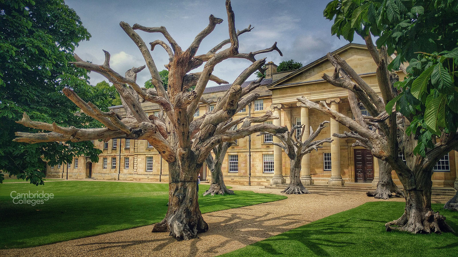 Downing Ai Wei Wei trees