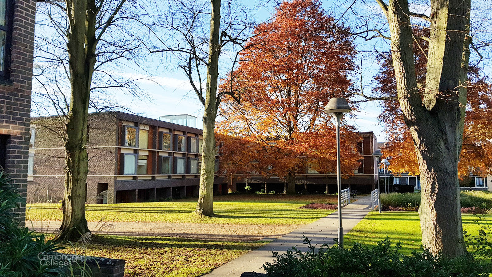 The grounds of Fitzwilliam college, Cambridge and gatehouse court