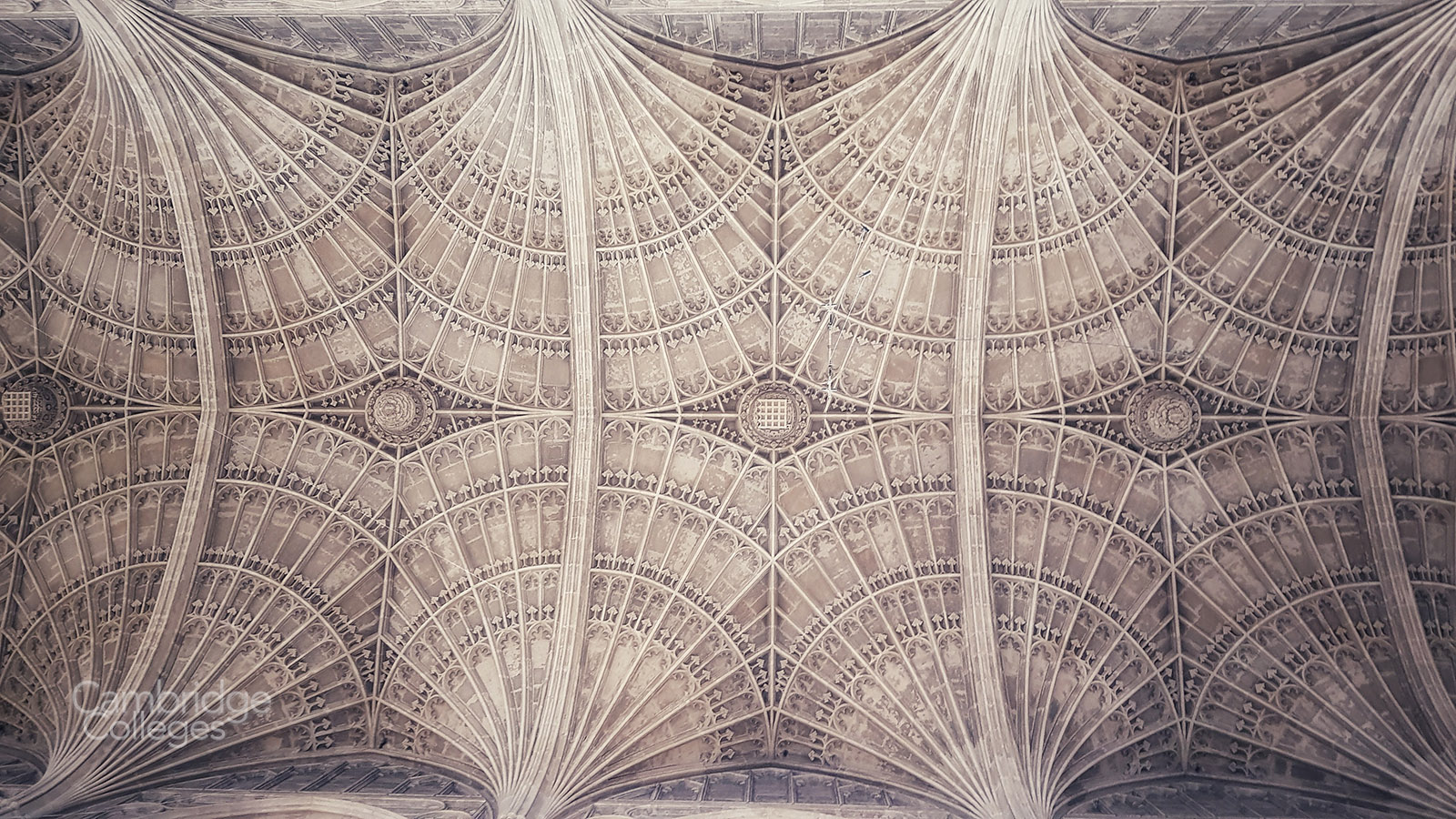 The fan vaulted ceiling of King's college chapel, Cambridge