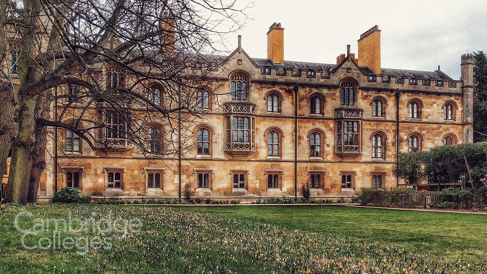 Trinity college, Cambridge, New court