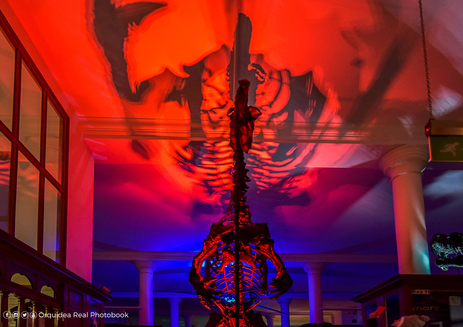 Sedgwick Museum during Twilight at the Museums