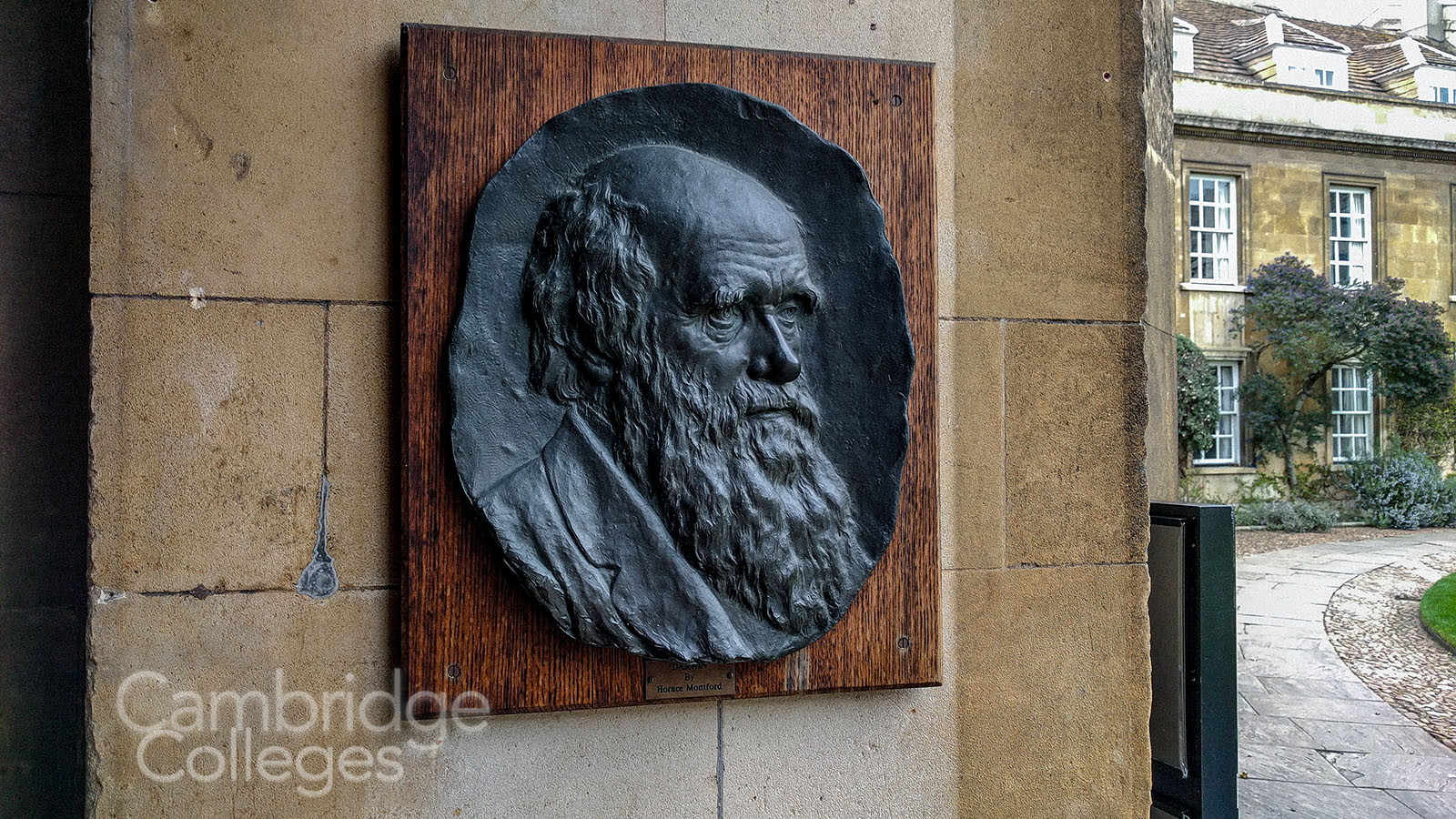 Charles Darwin watching over Christ's college