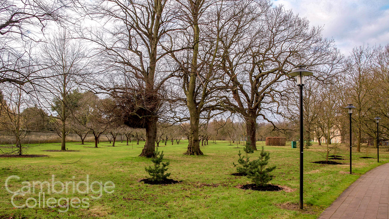 Homerton college's conservation area