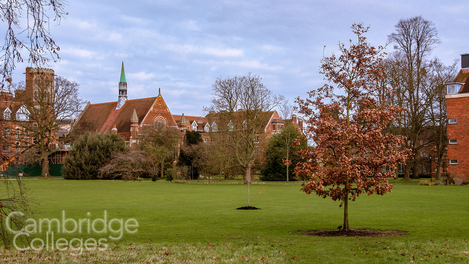 The grounds and older buildings of Homerton college
